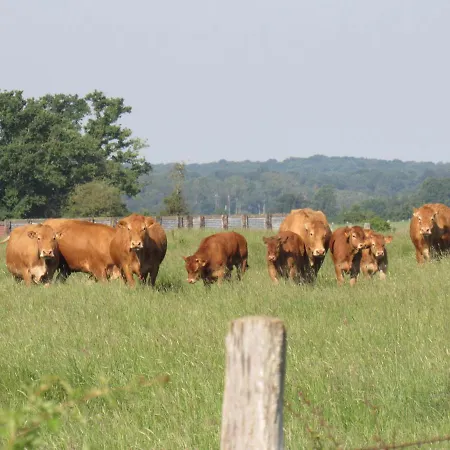 Panzió La Baroud' Er Voillecomte